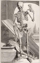 antique anatomy prints 05