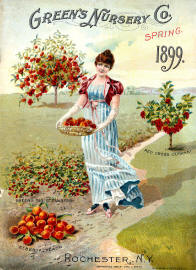Seed Catalogue Cover 10